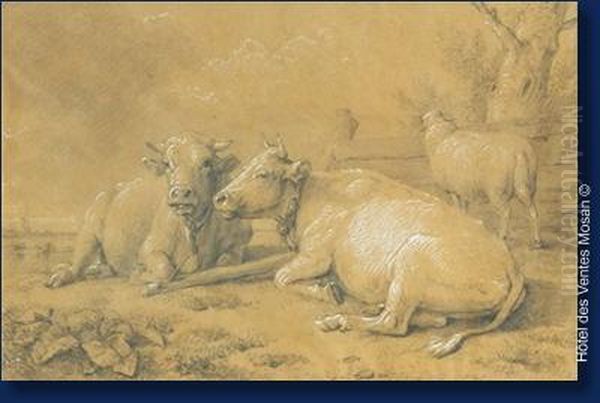 Vaches Et Moutons - view 1