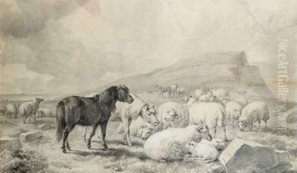 Paysage Aux Moutons - view 1