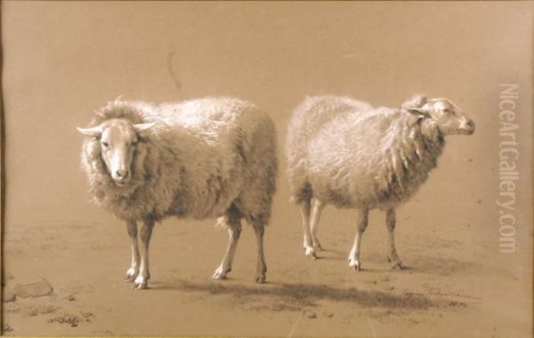 Les Moutons - view 1