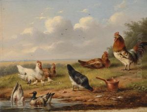 Poultry by Eugene Joseph Verboeckhoven