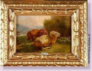Moutons Couches Au Pre by Eugene Joseph Verboeckhoven