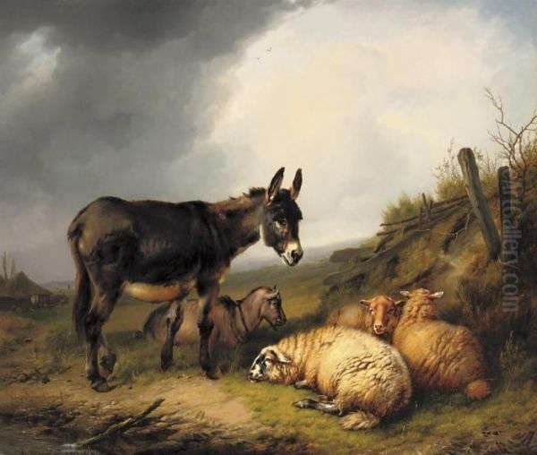 A Donkey, Goat And Sheep In A Pasture - view 1