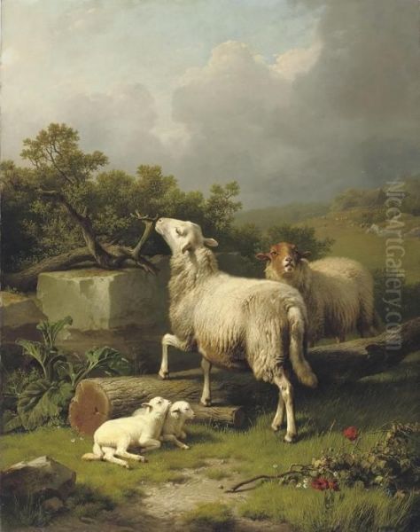 Paysage Avec Moutons: Sheep In An Extensive Landscape - view 1