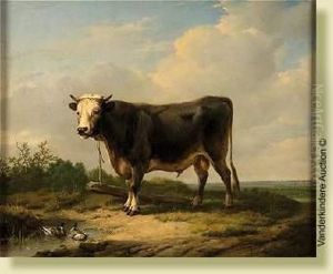Taureau Echappe