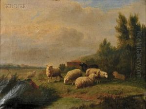 Grazing Sheep Grazing Sheep