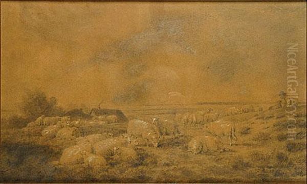 Berger Au Repos Avec Ses Moutons - view 1