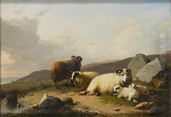 A Shepherd And His Flock - view 1
