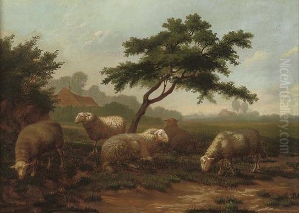 Sheep Grazing Before A Farmstead - view 1