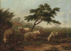 Sheep Grazing Before A Farmstead