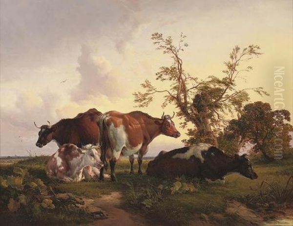 Cattle Resting In An Extensive Landscape - view 1