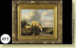 Moutons A La Mare by Eugene Joseph Verboeckhoven