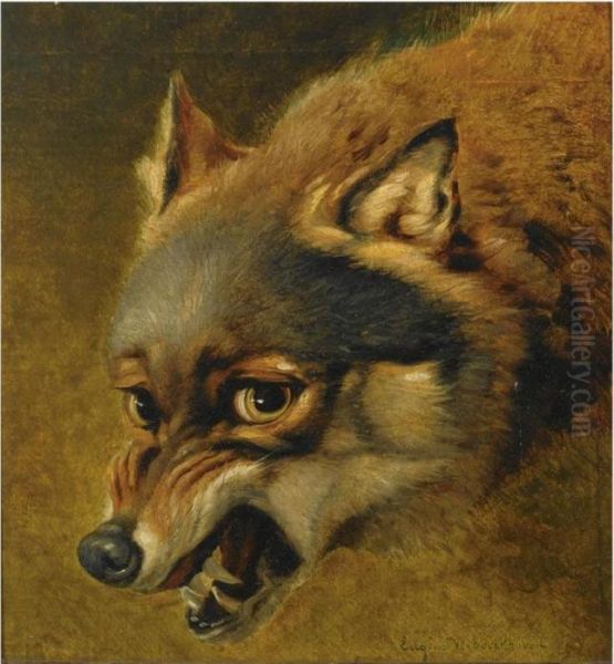 Study Of A Fox - view 1