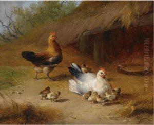 Chickens by Eugene Joseph Verboeckhoven