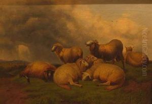 Landscape With Sheep Landscape With Sheep