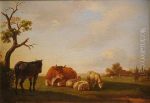 Resting Cattle In The Meadows - view 1