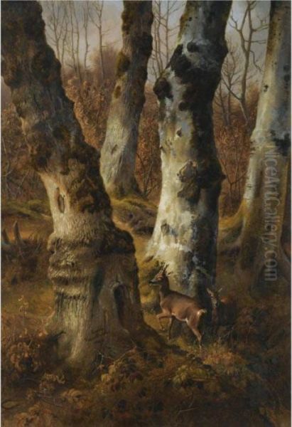 Deer In A Wood - view 1