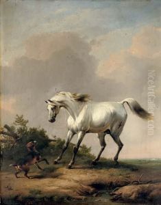 A White Horse Startled By A Dog A White Horse Startled By A Dog