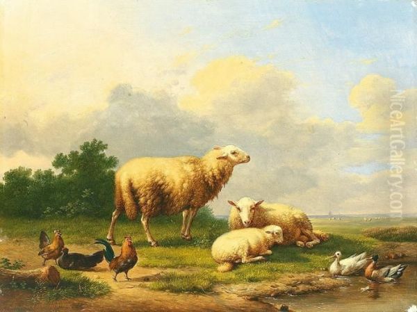 Ruhende Schafe Zwischen Enten Und Huhnern Auf Leichter Anhohe Mit Buschwerk - view 1