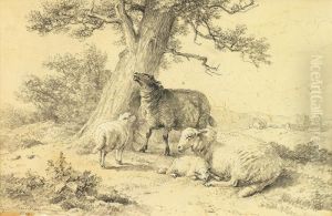Ruhende Schafe Unter Baum by Eugene Joseph Verboeckhoven