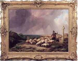 Moutons Effrayes Par La Tempete