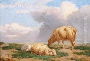 Drei Schafe In Einer Weiten Landschaft Drei Schafe In Einer Weiten Landschaft