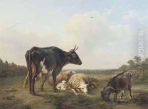 Cattle In A Meadow