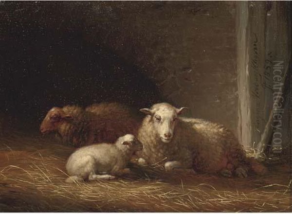 Sheep In A Barn - view 1