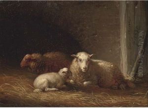 Sheep In A Barn by Eugene Joseph Verboeckhoven