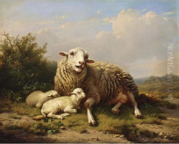 A Sheep And Two Lambs Resting In A Summer Landscape - view 1