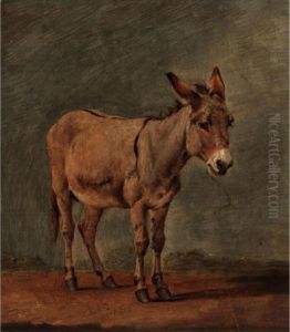 The Donkey