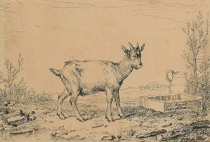 A Goat; And A Donkey by Eugene Joseph Verboeckhoven