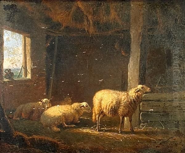 Sheep In A Stable - view 1