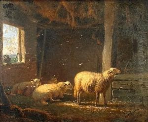 Sheep In A Stable