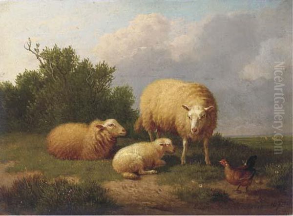 Sheep In A Meadow - view 1