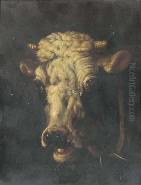 Studies Of Cattle - view 1