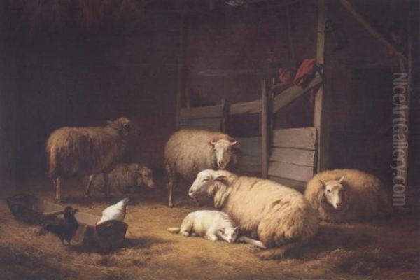 Sheep In A Stable Interior - view 1