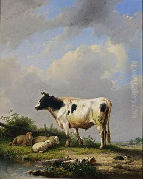 A Bull And Sheep In A Meadow - view 1
