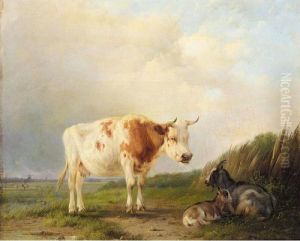 A Cow And Goats In A Field by Eugene Joseph Verboeckhoven