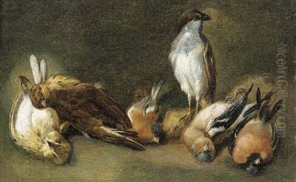 A Study Of Songbirds - view 1