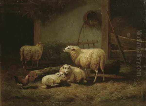 Moutons Dans Une Etable - view 1