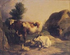 Kuhe Und Schafe Auf Dem Land. Kuhe Und Schafe Auf Dem Land.