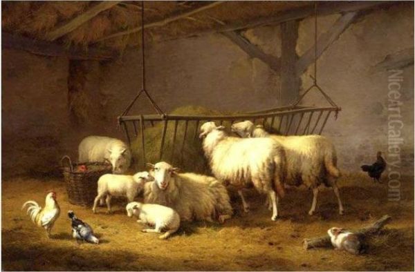 The Sheep Pen - view 1