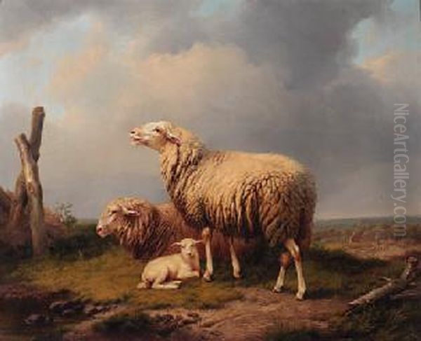 Sheep In A Meadow With A Shepherd And His Flock - view 1
