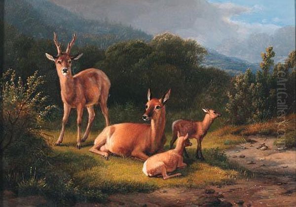 Deer In A Wooded Landscape - view 1