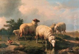 Sheep And A Chicken In A Landscape