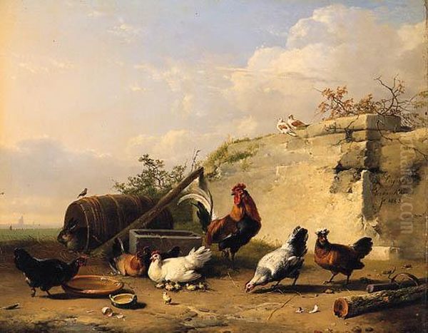 Animals In A Farmyard - view 1