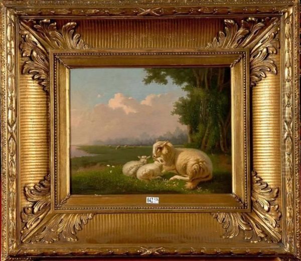 Moutons Couches Au Pre - view 1