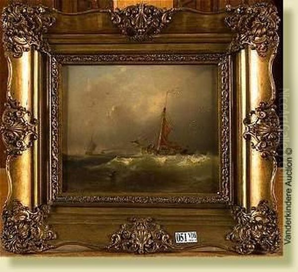 Marine - view 1