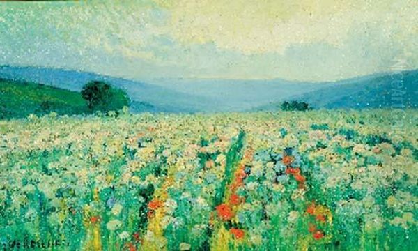 Champs Fleuris De Coquelicots - view 1