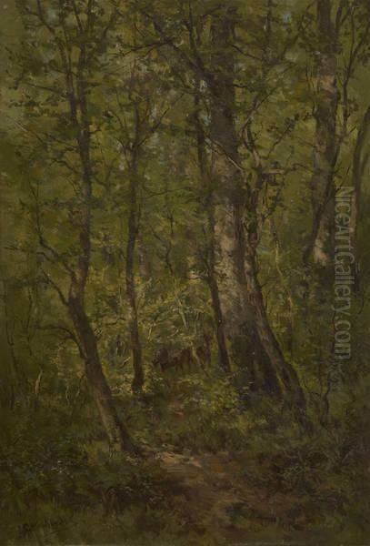 Cerf Et Biches Enforet - view 1